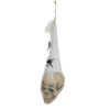 EUROPALMS Halloween Figure Skull in Spider Web, 30cm