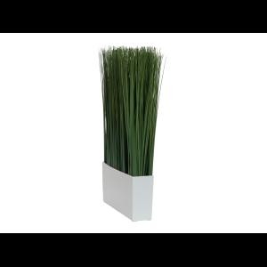 EUROPALMS Marram grass, 50x27cm