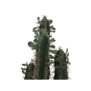 EUROPALMS Mexican cactus with leaves, 75cm