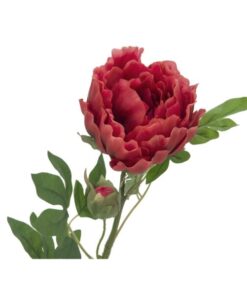 EUROPALMS Peony Branch Classic, magenta, 80cm