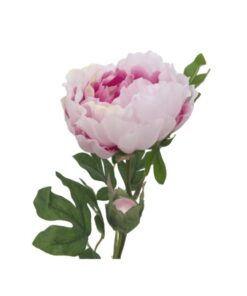 EUROPALMS Peony Branch Classic, pink, 80cm