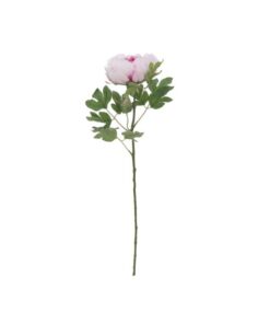 EUROPALMS Peony Branch Classic, pink, 80cm