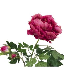 EUROPALMS Peony Branch Premium, magenta, 100cm