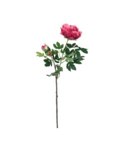 EUROPALMS Peony Branch Premium, magenta, 100cm