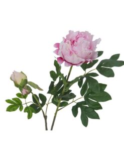 EUROPALMS Peony Branch Premium, pink, 100cm