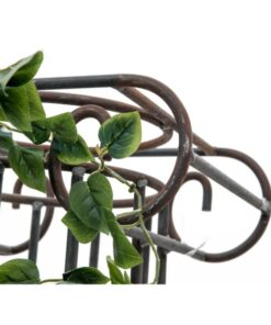 EUROPALMS Philodendron Bush Classic, 60cm