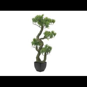 EUROPALMS Pine Bonsai, 70cm