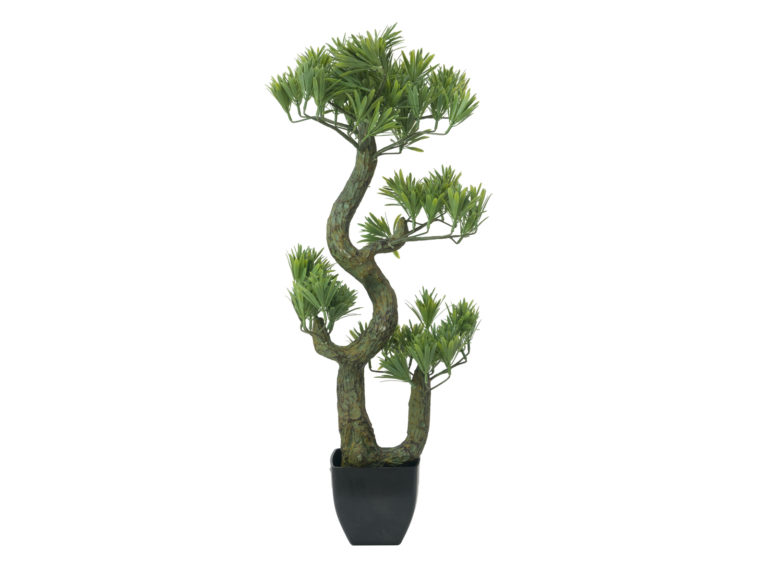 EUROPALMS Pine Bonsai, 70cm