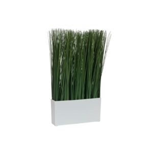 EUROPALMS Marram grass, 50x27cm