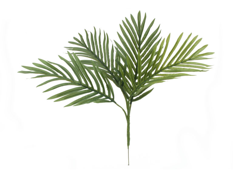 EUROPALMS Areca palm seedling, artificial plant, 60cm