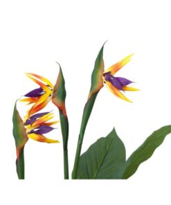 EUROPALMS Bird-of-paradise flower, artificial plant, 90cm