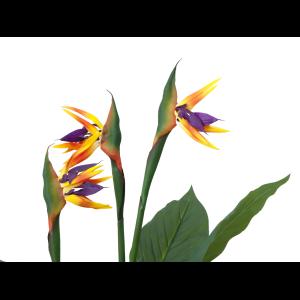 EUROPALMS Bird-of-paradise flower, artificial plant, 90cm