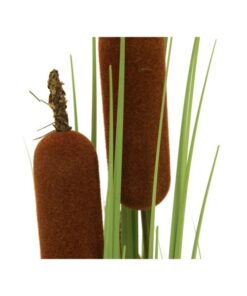 EUROPALMS Bulrush, alrtificial plant, 150cm