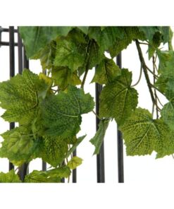 EUROPALMS Grape Bush, Premium, 50cm