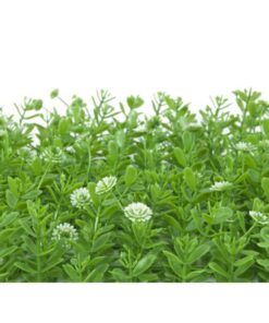 EUROPALMS Grass mat, artificial, green-white, 25x25cm