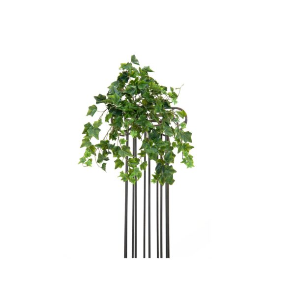 EUROPALMS Ivy Bush,  Premium, 50cm