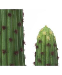 EUROPALMS Mexican cactus, artificial plant, green, 117cm