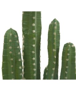 EUROPALMS Mexican cactus, artificial plant, green, 123cm