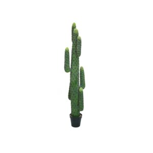 EUROPALMS Mexican cactus, artificial plant, green, 173cm