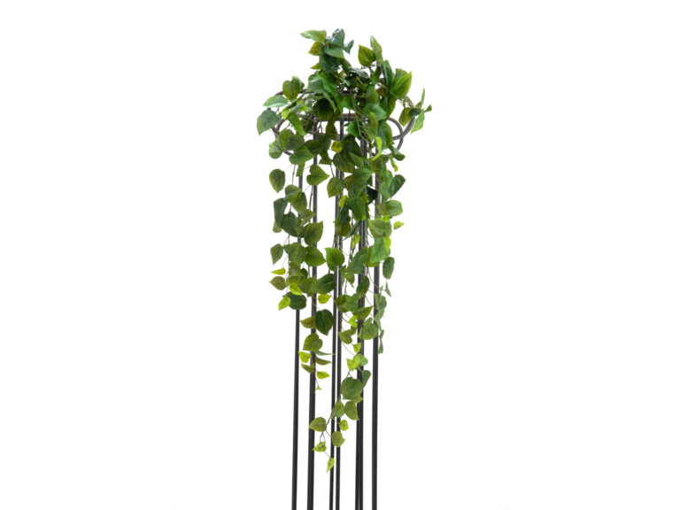 EUROPALMS Philodendron Bush, Premium, 100cm