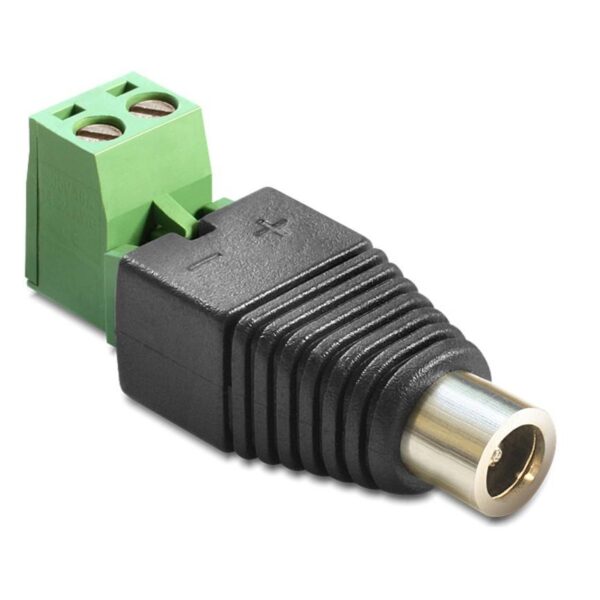 Adattatore DC 2.5x5.5 mm Femmina Terminal Block 2 pin