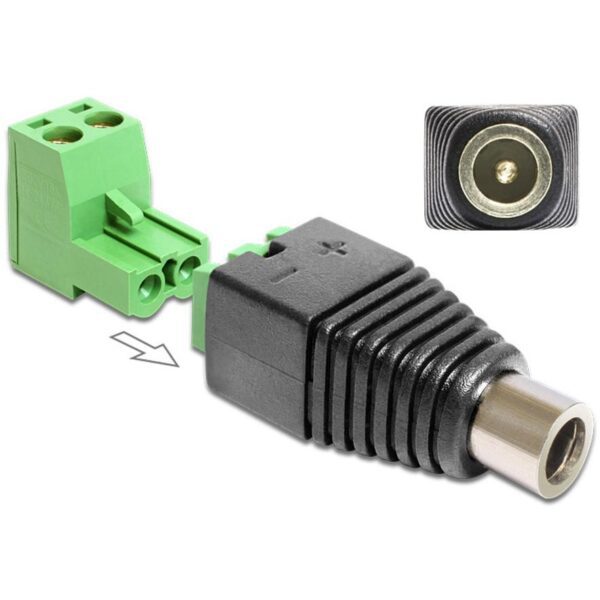 Adattatore DC 2.5x5.5 mm Femmina Terminal Block 2 pin