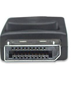 Adattatore DisplayPort DP M a VGA F