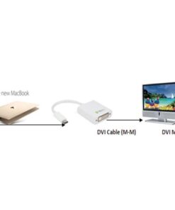 Cavo Convertitore Adattatore da USB-C™ M a DVI F