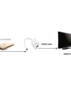 Cavo Convertitore Adattatore da USB-C™ M a HDMI 1.4 F