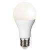 Lampada LED Globo E27 Bianco Caldo 15W Classe A+