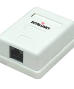 Presa a Muro con Frutto RJ45 Cat. 5E UTP Beige