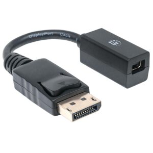 Adattatore da DisplayPort a Mini DisplayPort