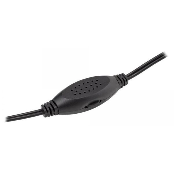 Coppia di Speaker USB Finitura Legno