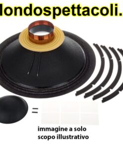 RCK 15RBX100 Riconatura altoparlanti B&C