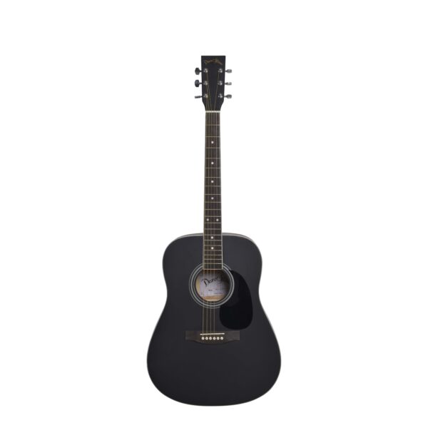 Proel darestone outlet acoustic guitar