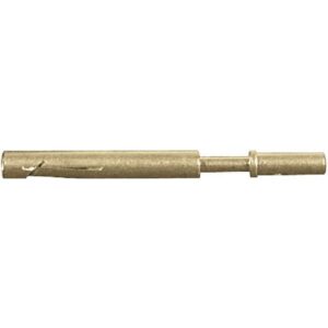 PROEL CPINFG100