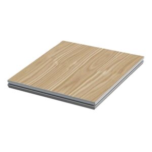 PROEL MODW1X1
