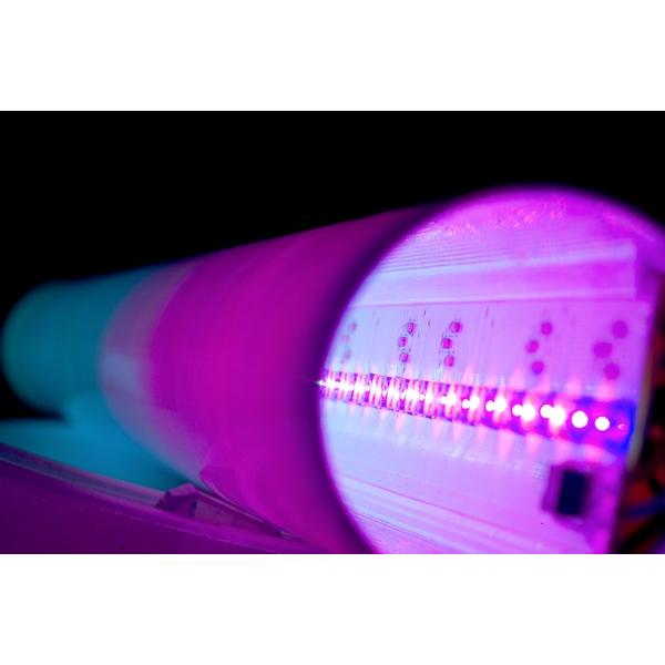 PROEL PLLEDMCT - immagine 2