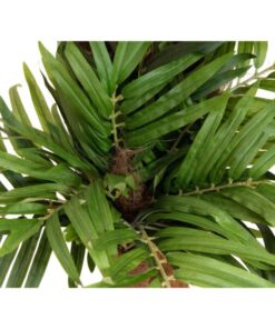 EUROPALMS Areca palm, artificial plant, 170cm