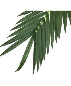 EUROPALMS Coconut king palm branch, artificial, 210cm