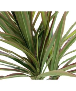 EUROPALMS Dracena, artificial, 120cm