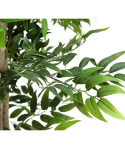 EUROPALMS Ficus longifolia, artificial plant, 165cm