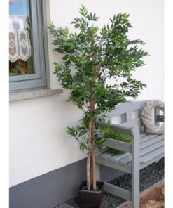 EUROPALMS Ficus longifolia, artificial plant, 165cm