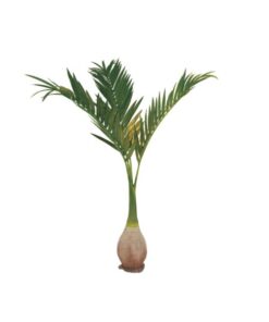 EUROPALMS Phoenix palm, artificial plant, 240cm