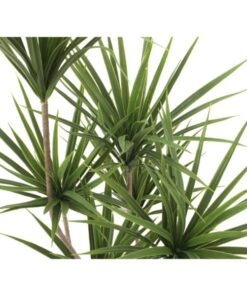 EUROPALMS Yucca palm, artificial plant, 130cm