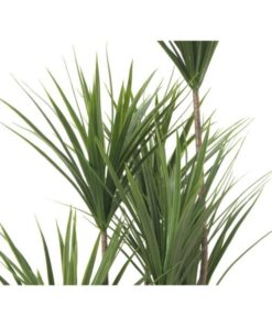 EUROPALMS Yucca palm, artificial plant, 130cm