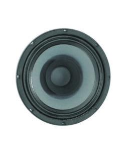 Eminence Legend B 102 - Altoparlante da 10" 200 W 8 Ohm