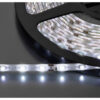 MONACOR LEDS-5MPE/WS STRISCIA LED FLESSIBILE, 12 V, BIANCA