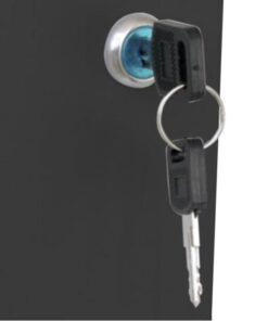 Armadio Rack 19'' a muro 20 unità sezione unica prof. 450mm Nero