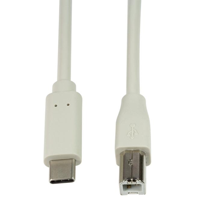 Cavo SuperSpeed USB-C™ Maschio/USB-B Maschio 1m Grigio